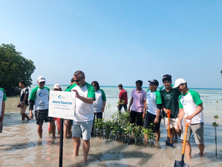 Jakarta Aquarium Memperingati International Mangrove Day