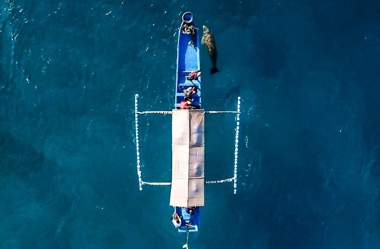 Yuk Kenalan Dengan Mawar, Penghuni Perairan Pantai Mali di Alor