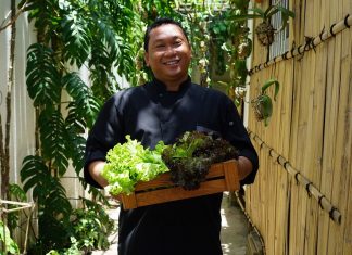 Alila Seminyak Plants New Seeds of Sustainability with Its Hydroponic Garden