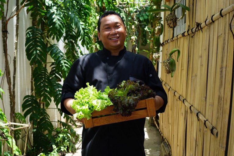 Alila Seminyak Plants New Seeds of Sustainability with Its Hydroponic Garden