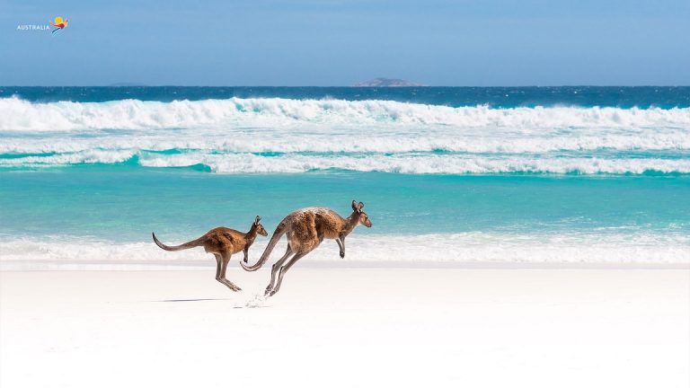 Tourism Australia Releases a Series of Zoom Backdrops