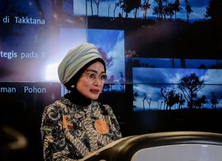 Taman Parapuar Jadi Daya Tarik Baru Wisata Alternatif di Labuan Bajo NTT Taman Parapuar