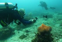 Kemenparekraf Dorong Promosi Raja Ampat Sebagai Tujuan Selam Favorit Wisatawan Australia Raja Ampat