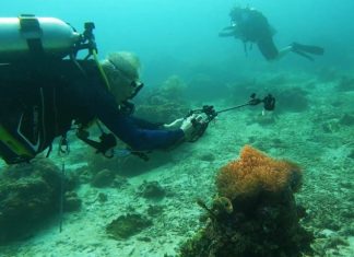 Kemenparekraf Dorong Promosi Raja Ampat Sebagai Tujuan Selam Favorit Wisatawan Australia Raja Ampat