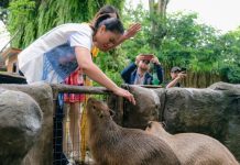 Wamenpar Cek Kesiapan Destinasi Wisata Bogor Jelang Libur Nataru Wamenpar