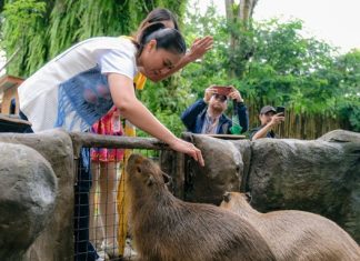 Wamenpar Cek Kesiapan Destinasi Wisata Bogor Jelang Libur Nataru Wamenpar